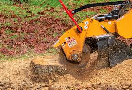 Best Hazardous Tree Removal  in Whittier, CA