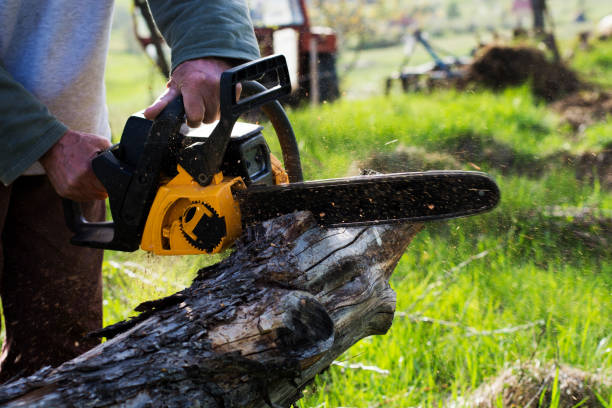 Best Soil Testing and Treatment  in Whittier, CA